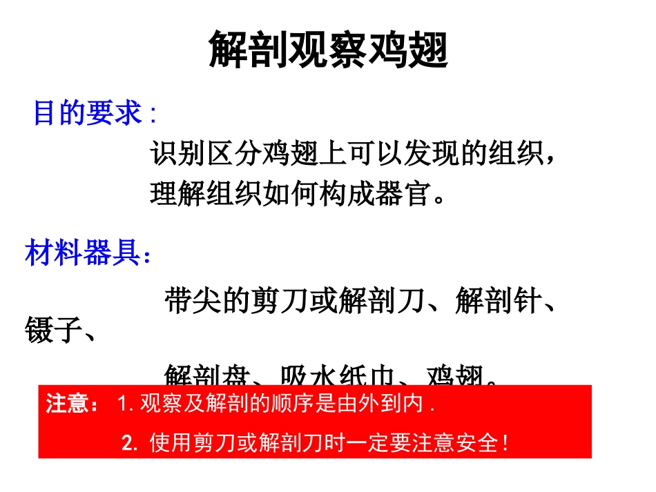 生物体的器官系统_第2页