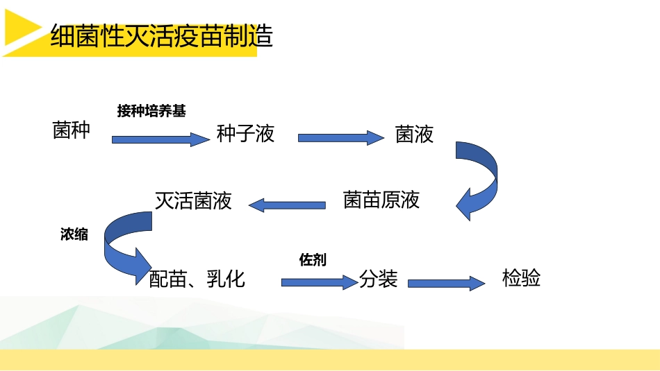 生物制品技术疫苗制造_第3页