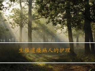 生殖道瘘课件