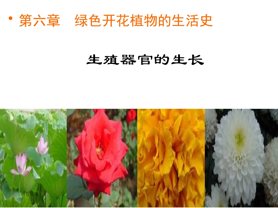 生殖器官的生长课件_第1页