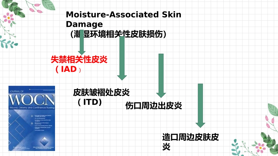 失禁相关性皮炎的预防_第3页