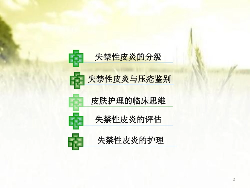 失禁性皮炎的护理_第2页
