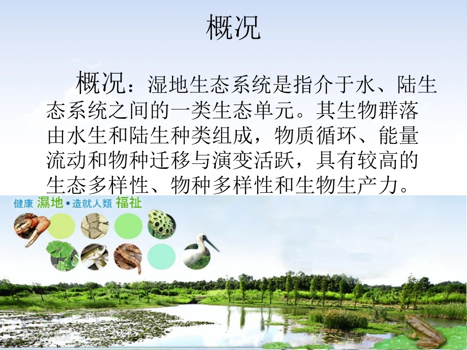 湿地生态系统_第3页