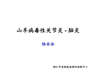十山羊病毒性关节炎