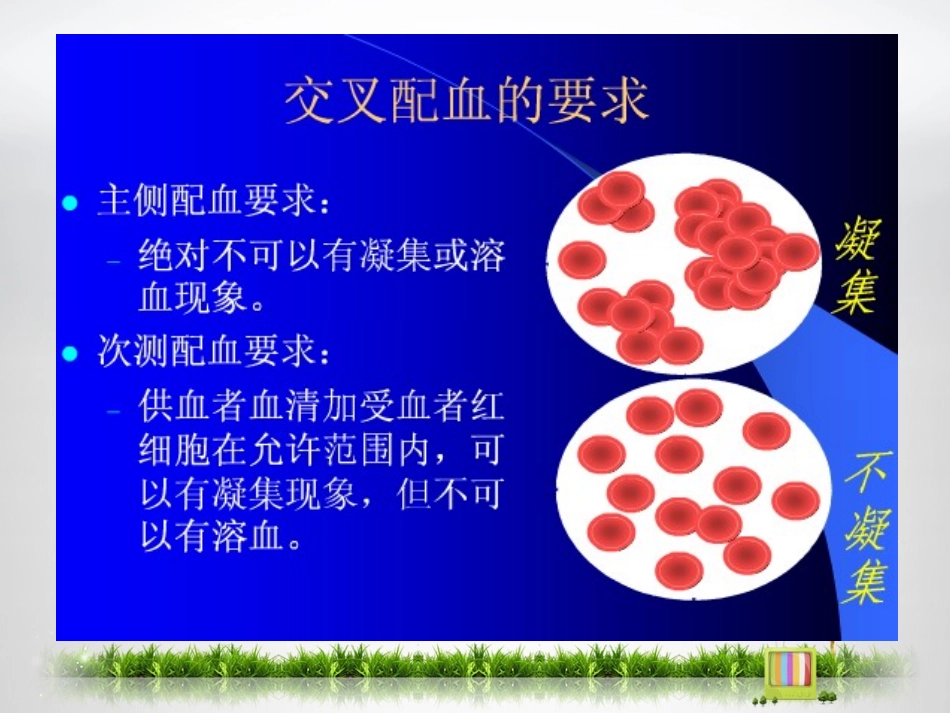 实验二交叉配血试验精品医学课件_第3页