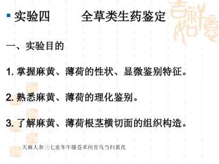 实验全草类叶类