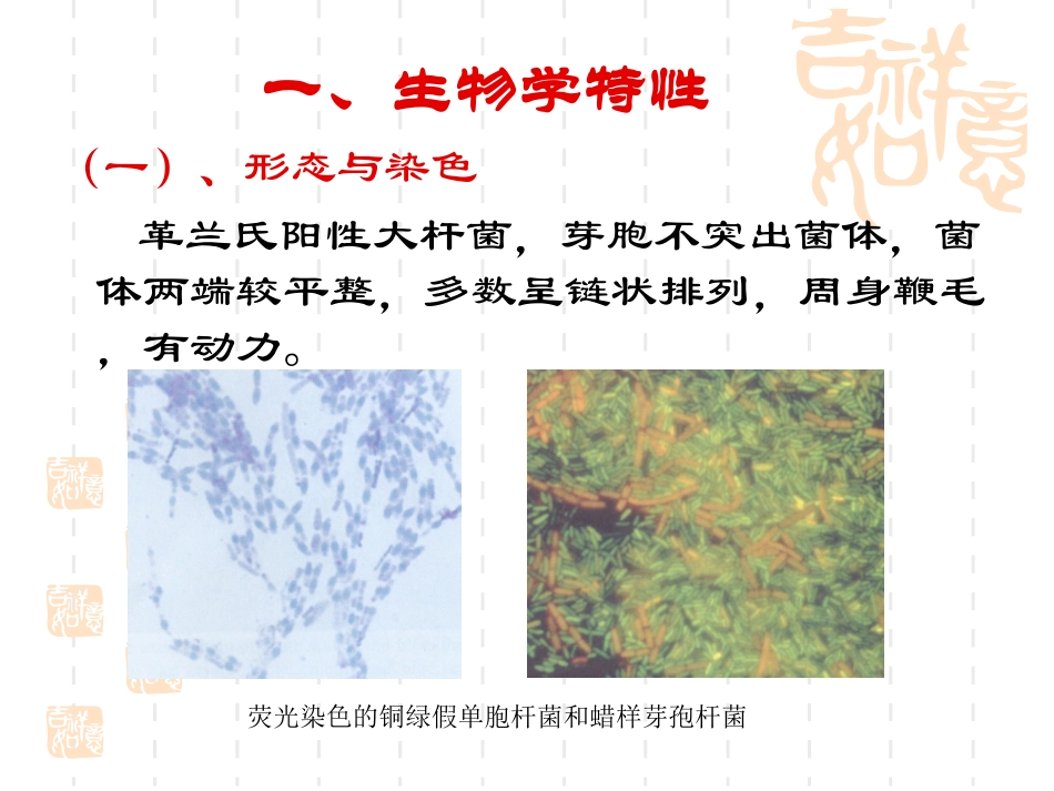 食品中蜡样芽孢杆菌的检验_第2页