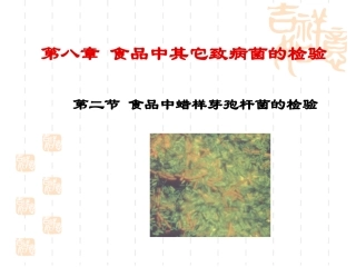 食品中蜡样芽孢杆菌的检验