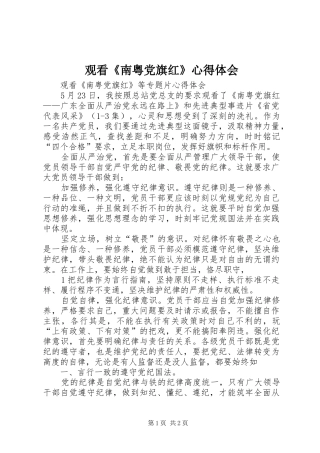 观看南粤党旗红心得体会