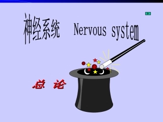 视觉障碍及眼肌麻痹课件