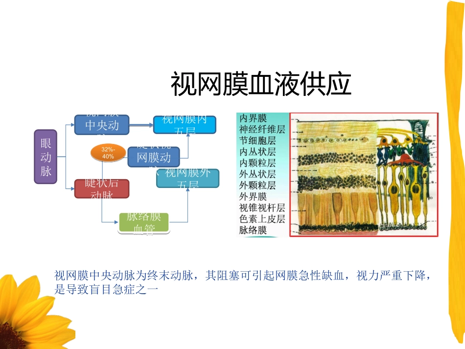 视网膜中央动脉阻塞课件_第3页