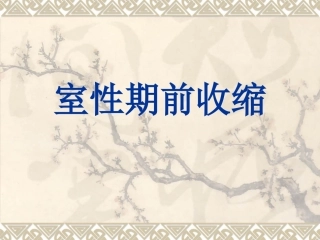 室性期前收缩概述