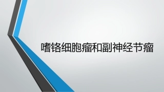 嗜铬细胞瘤和副神经节瘤