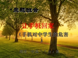 手机对中学生的危害主题班会