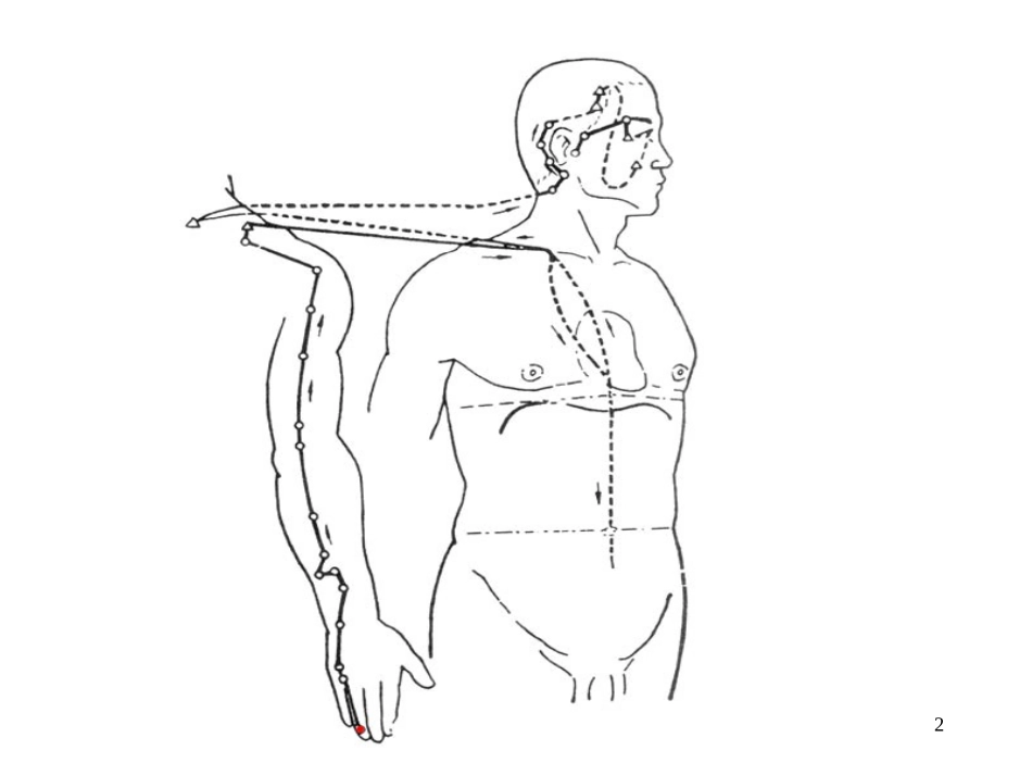 手少阳三焦经课件_第2页