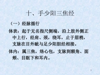手少阳三焦经课件