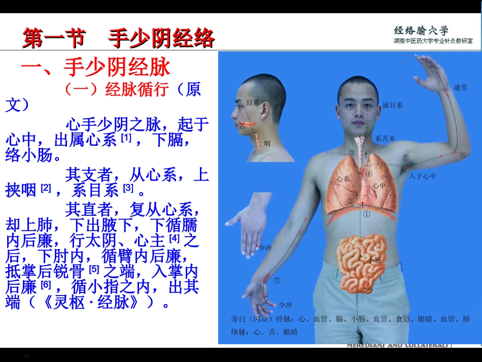 手少阴经络和腧穴详解_第2页