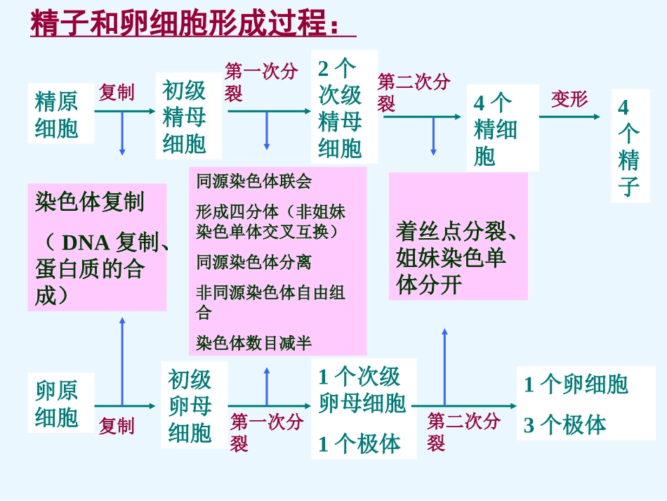 受精作用汇总_第2页