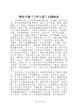 青年干部三严三实心得体会