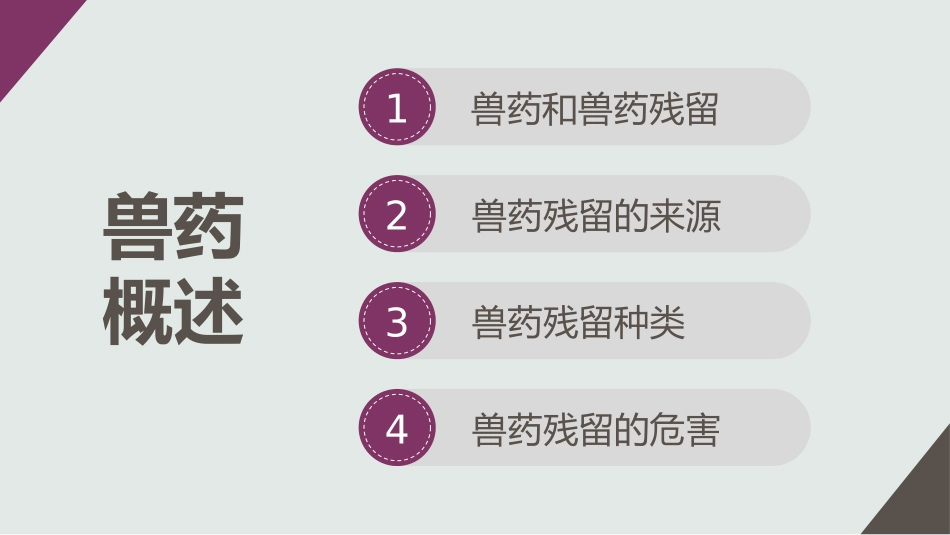 兽药残留和食品安全_第2页