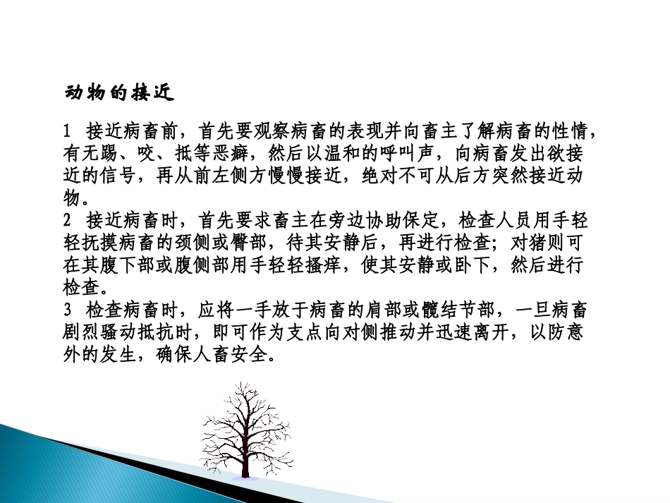 兽医临床诊断技术临床检查的基本方法和程序_第3页