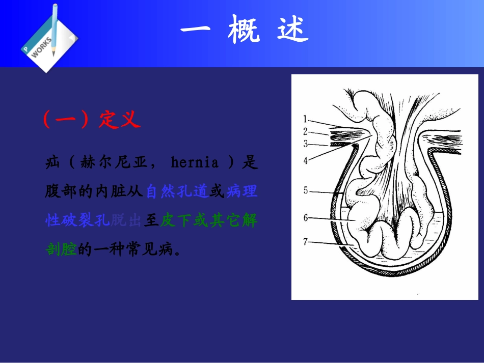 兽医外科学疝_第2页