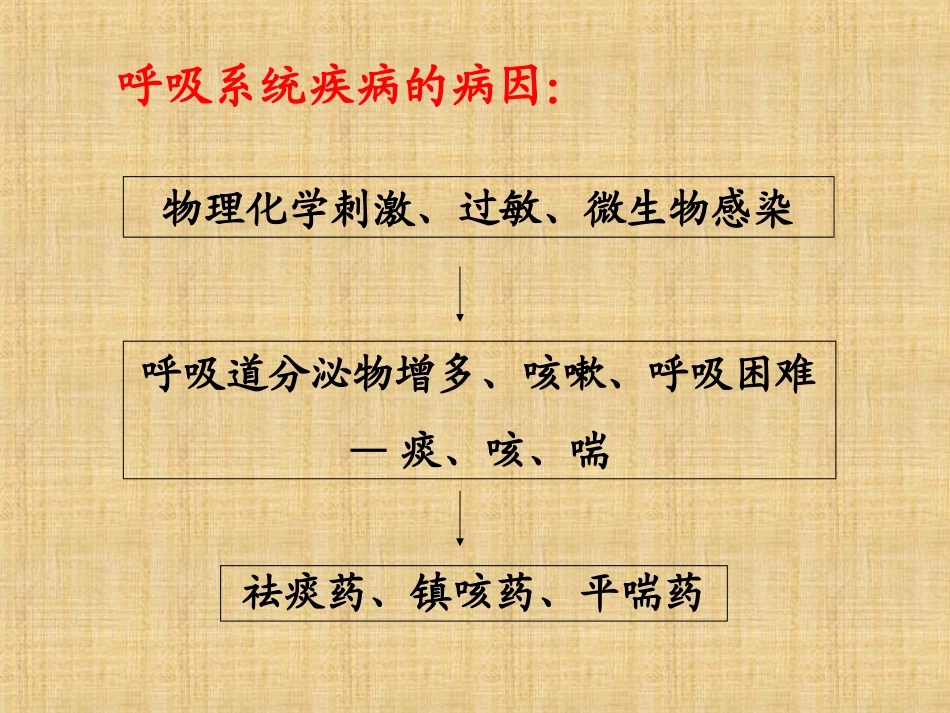 兽医药理学呼吸系统药理_第2页