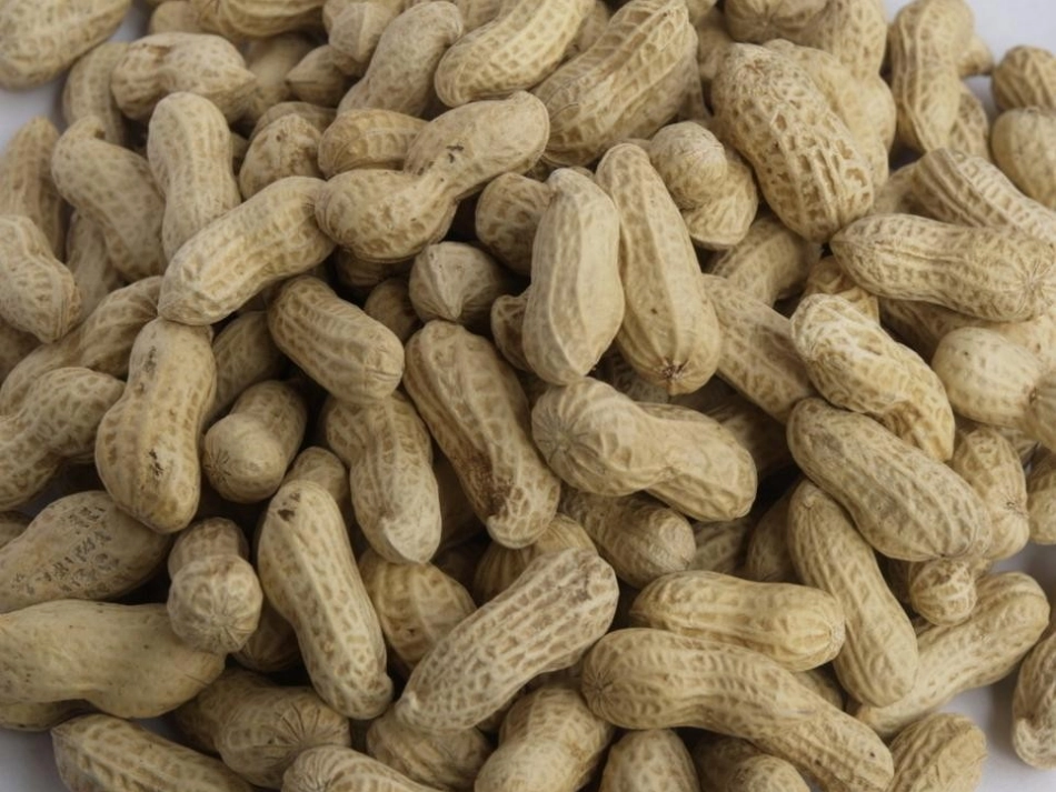 蔬果变变变课件_第3页