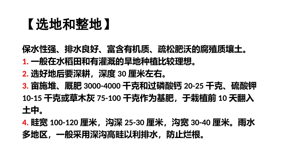 树仔菜种植技术_第2页