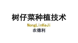 树仔菜种植技术