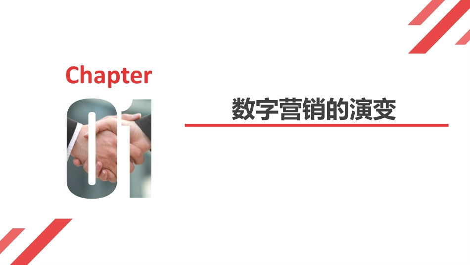 数字营销报告_第3页