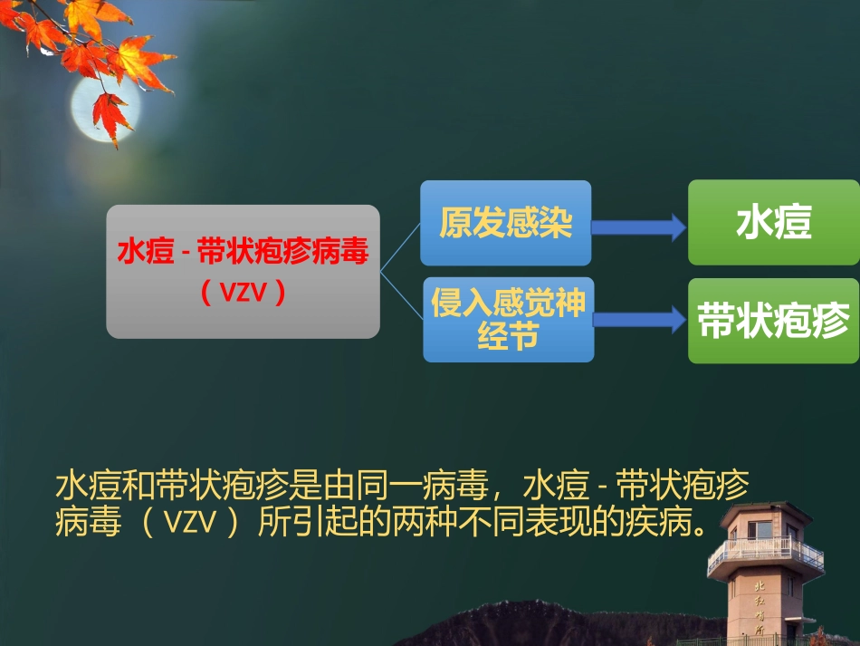 水痘和带状疱疹防控宣传课件_第2页