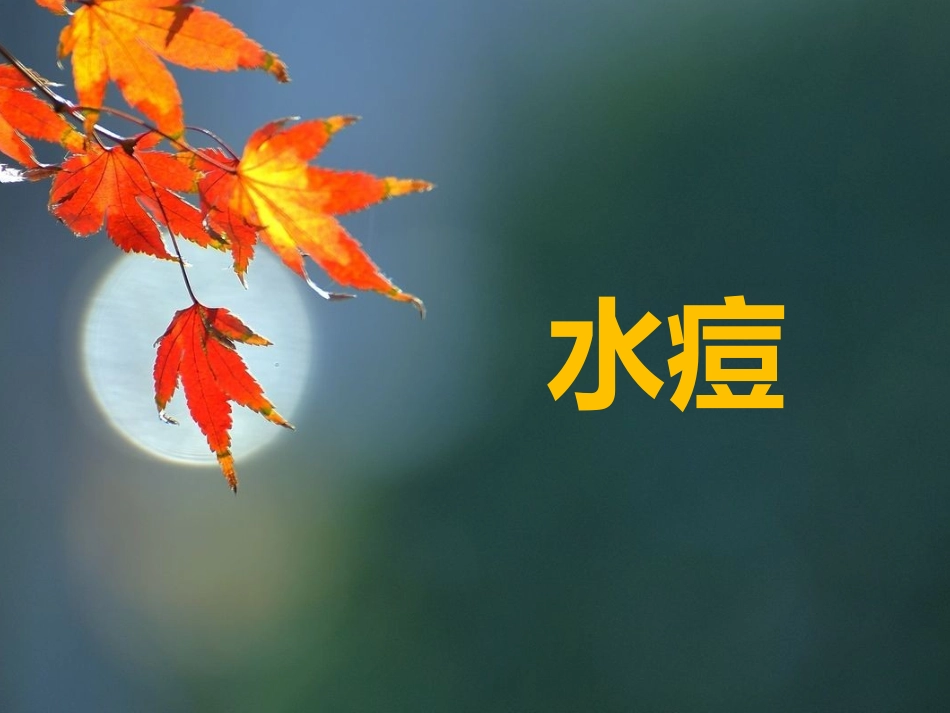 水痘和带状疱疹防控宣传课件_第3页