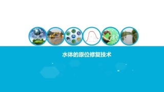 水体的原位修复技术