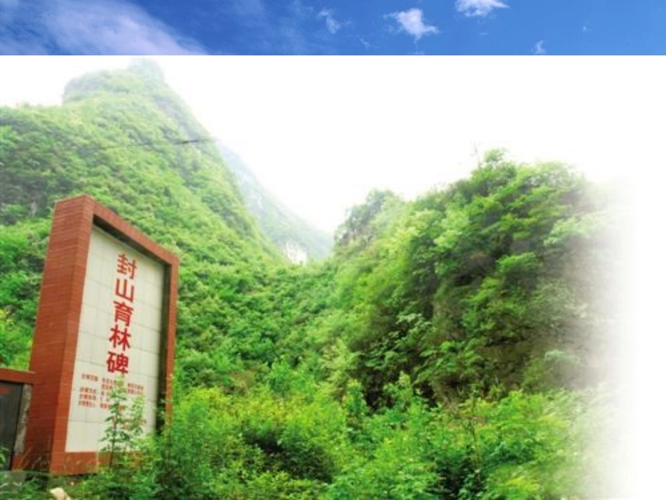 水土保持植物措施_第1页