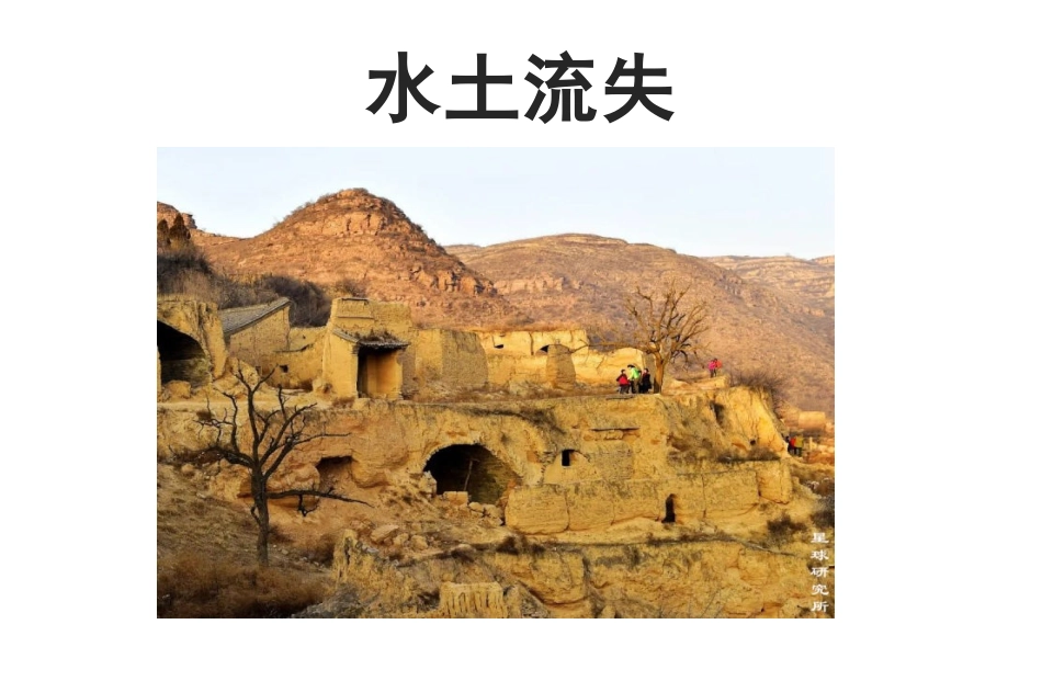 水土流失的原因及治理_第1页