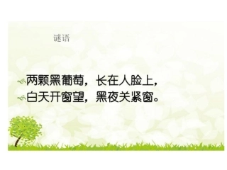 四年级预防近视主题班会