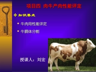四肉牛产肉性能测定精