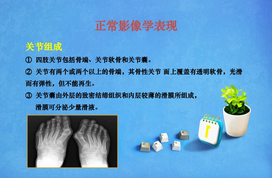 四肢关节病变影像诊疗_第2页