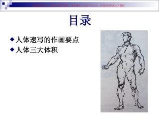 速写人体结构课件