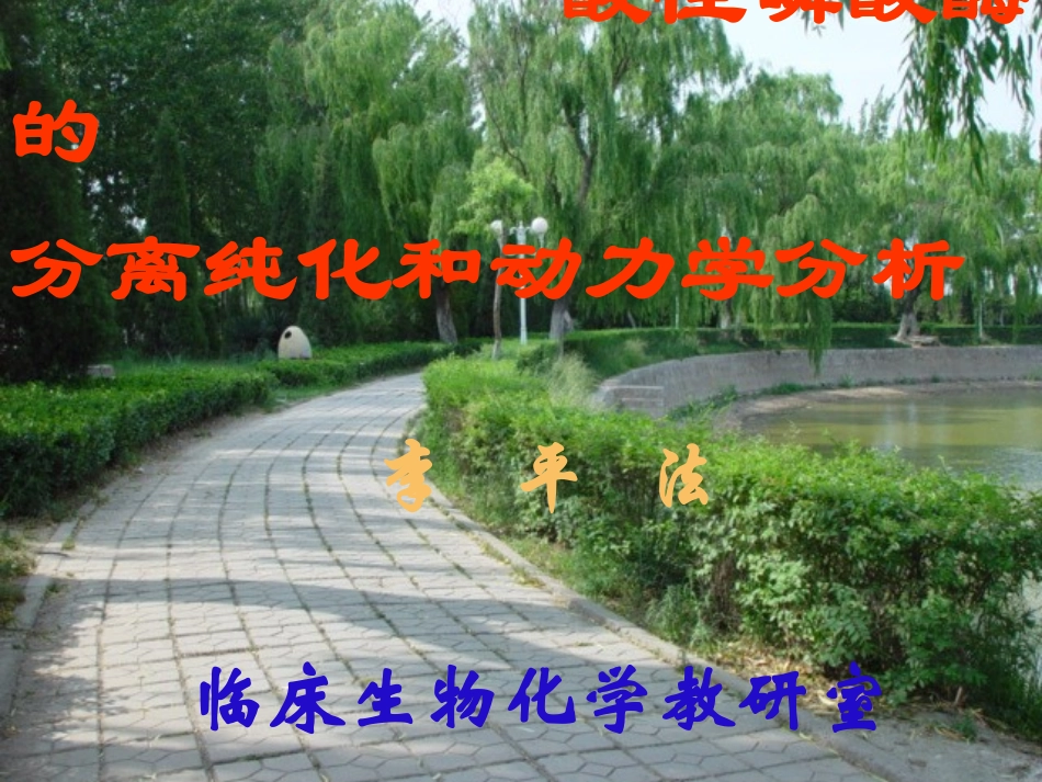 酸性磷酸酶的_第1页