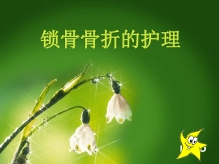 锁骨骨折的护理课件