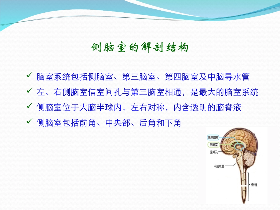 胎儿侧脑室增宽_第2页