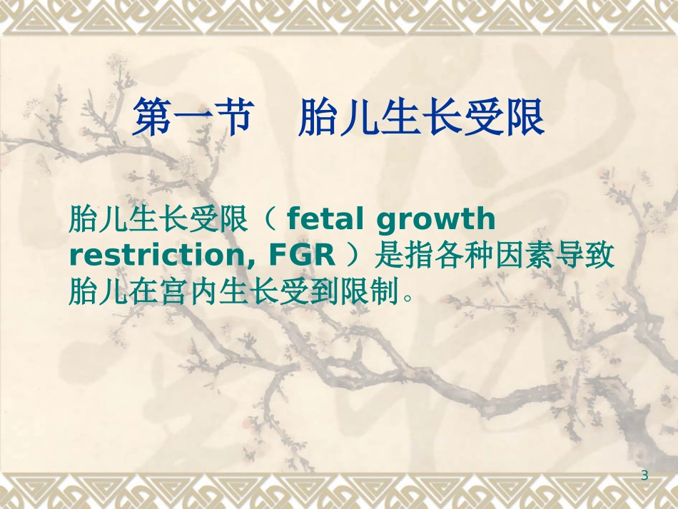 胎儿发育异常及死胎_第3页