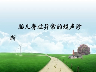 胎儿脊柱异常的超声诊疗