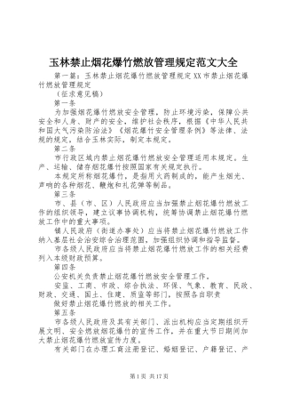 玉林禁止烟花爆竹燃放管理规定范文大全