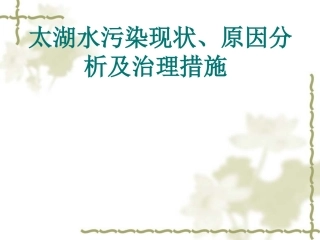 太湖水污染原因分析现状及治理