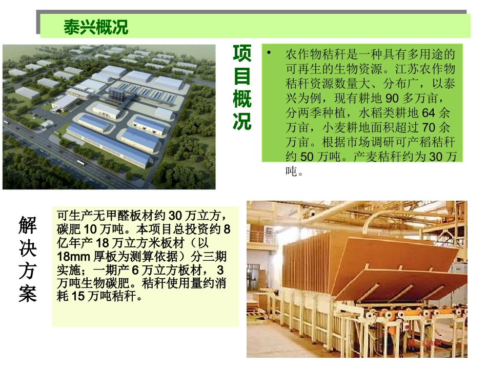 泰兴秸秆板项目_第2页