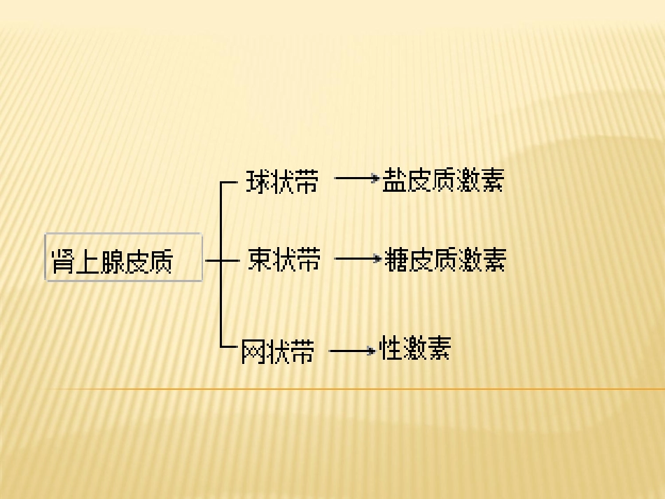 糖皮质激素类药物的认识_第2页