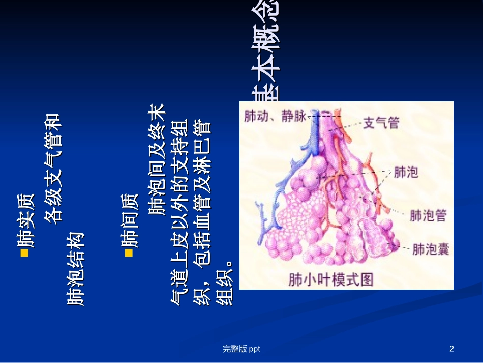 特发性肺纤维化课件_第2页